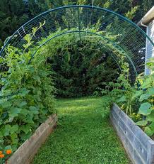 Cattle Panel Trellis Arch Our Diy Dupe