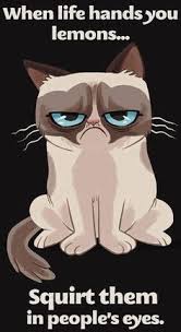 Grumpy Cat Cartoon on Pinterest | Grumpy Cat Birthday, Grumpy Cat ... via Relatably.com