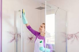 Glass Shower Door Clean