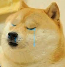 This makes it suitable for many types of projects. Download Sad Doge Png Png Gif Base