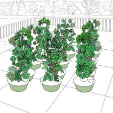 for a vertical garden aeroponics