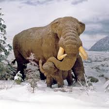 Ice Age