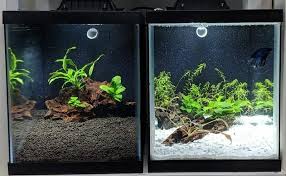 See more ideas about aquascape, fish tank, aquascape aquarium. Double Ten Gallon Planted Tank Setup Odin Aquatics