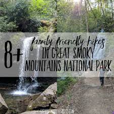 8 kid friendly hikes in smoky mountain