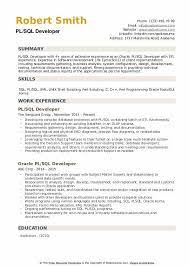 pl sql developer resume sles