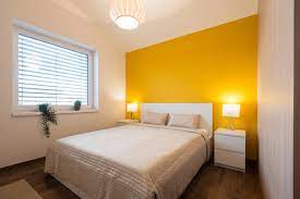 15 Yellow Colour Combination For Wall