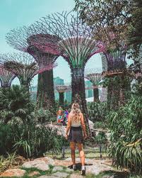 guide to singapore s gardens by the bay