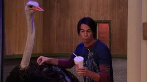 Trending images and videos related to spencer icarly! Icarly Remember When Marvin The Ostrich Facebook