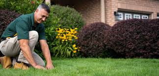 lawn care services in chatham weed man