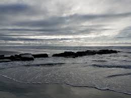 Ann Delaney Beach Blog Life On 7 Mile Beach Avalon Stone