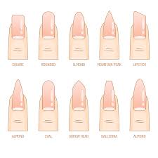 nail shape png transpa images free
