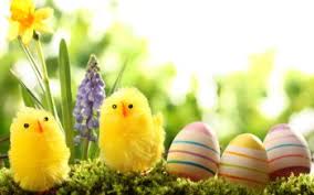 Holiday easter eggs decorated with flowers, rabbit, leafs. 716 Easter Hd Wallpapers Background Images Wallpaper Abyss
