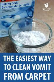 the easiest way to clean vomit from carpet