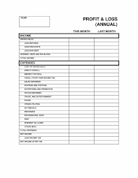 Sample Of A Profit And Loss Statement Kalei Document Template Examples