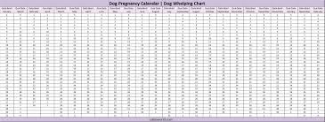 Dog Pregnancy Calendar Dog Due Date Calendar