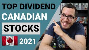 best canadian dividend stocks hold