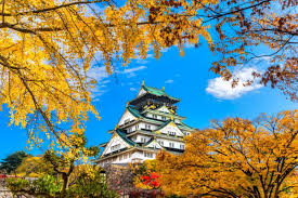 Castle is really big and everything is. Osaka Castle Park Zekkei Japan