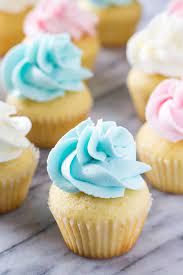 Mini Cupcake Tips gambar png