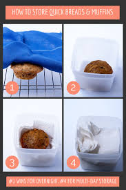 The Best Way To Store Muffins Savvy Eats