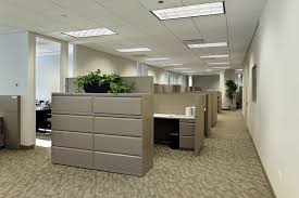 commercial and office carpet cleaning