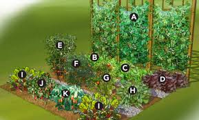 vegetable garden layout ideas