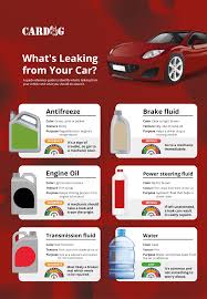 what s leaking from your car cardog