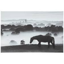 Horse In Mist Canvas Wall Decor Hobby