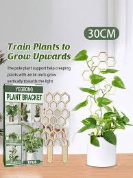 1pc Wooden Plant Support Frame One Box