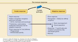 Cellular Components Of The Cutaneous Immune System