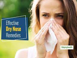 suffering from dry nose try these home