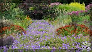 10 shade loving zone 8 perennials flowers that bloom from spring to fall. Long Blooming Perennials For A More Beautiful Landscape