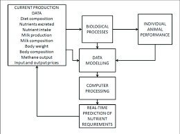 Flow Chart Showing Animal Model Used To Predict Nutrient
