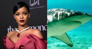 | woman's day content brought to you by now to love. Do Drake And Rihanna S Matching Shark Tattoos Prove That Rihanna Is In Love With Drake Based On A The Hairpin