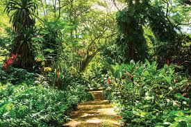 Three on the island of kauai, one on maui, and. Find Three Of The World S Best Tropical Gardens On The Island Of Kauai Hawaii Magazine