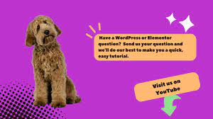 visit for elementor wordpress tutorials