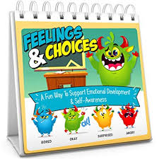 Feelings Choices Flip Book Teach Emotions To Kids Toddlers Early Learning Feelings Flash Cards Chart Book Autism Asd Friendly Emotions