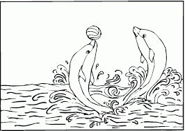 Pick the one you like. Free Printable Dolphin Coloring Pages For Kids Animal Coloring Pages Dolphin Coloring Pages Mermaid Coloring Pages