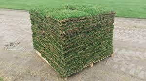 square feet are in a pallet of sod