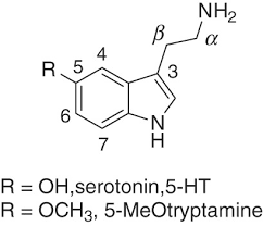 serotonin 5 ht2a agonists