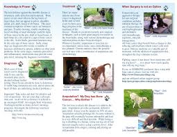 Because chondrosarcoma advances so rapidly, there is only a 10% chance a dog will survive past a year of metastasis. Tri Fold Bone Cancer Dogs Inc Informative Brochure