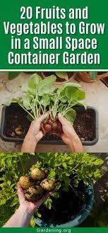 Grow In A Small Space Container Garden