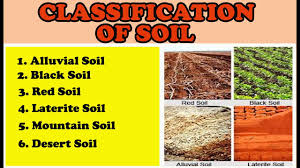 clification of soil in tamil 8th