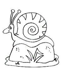 Select from 35970 printable crafts of cartoons, nature, animals, bible and many more. Snails Coloring Pages And Printable Activities
