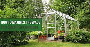 Small Greenhouse How To Maximize Your