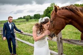 Best Farm Wedding Venues Across The