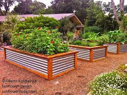 Raised Bed With Galvanized Tin Metal