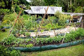 how to start a permaculture garden