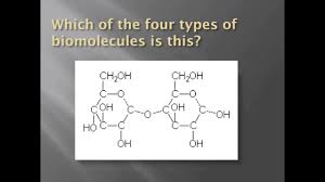 How To Identify Biomolecules Structurally