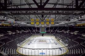 bruins ahl affiliate could have new