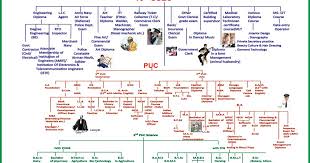 Education Chart After 12th Science Cigma Career Chart